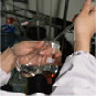 Área Cardiovascular