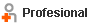 Profesional