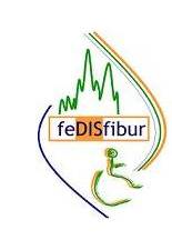 Fedisfibur