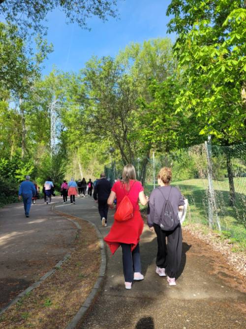 Caminatas saludables-9.png