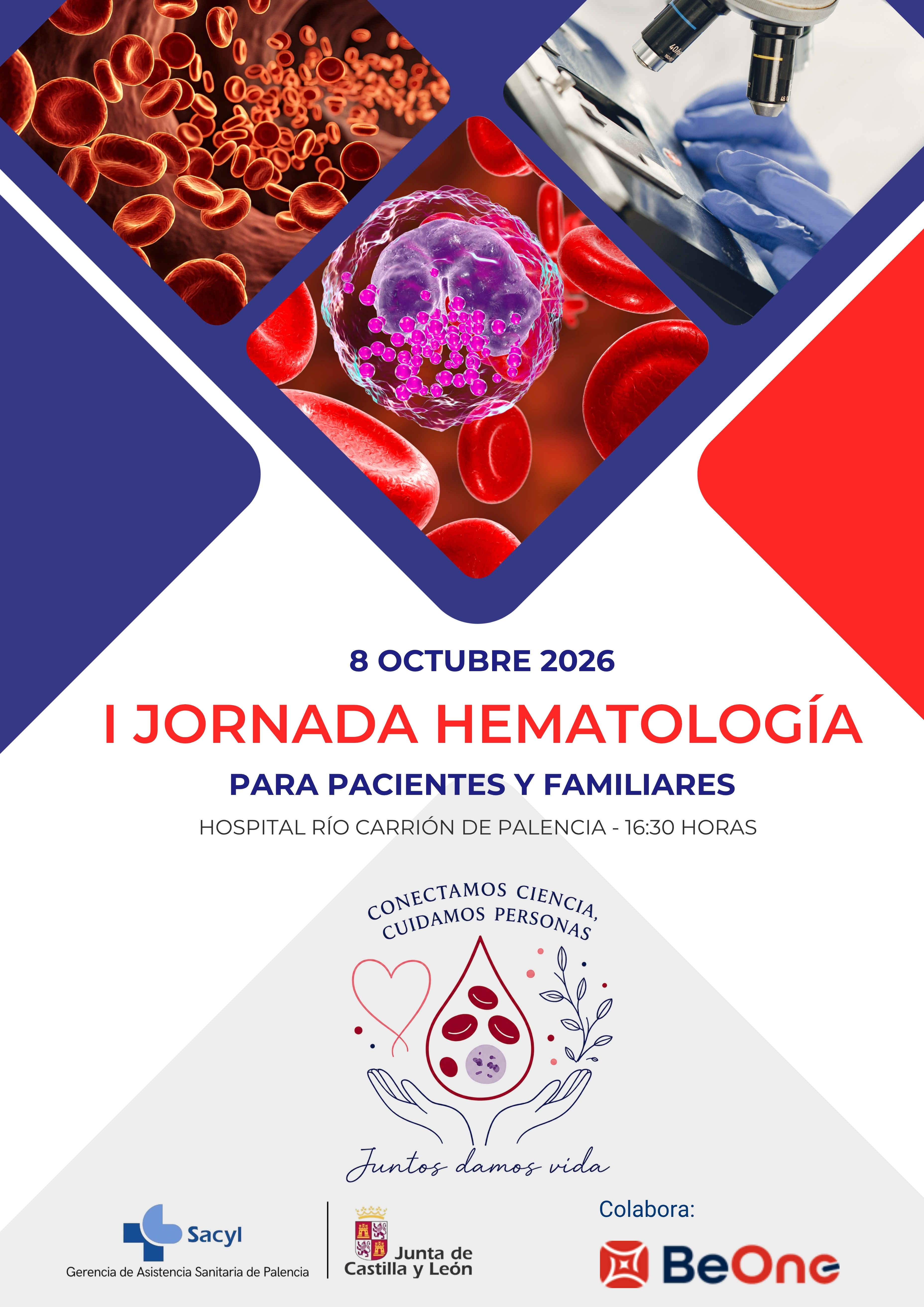Cartel Jornada Hematología