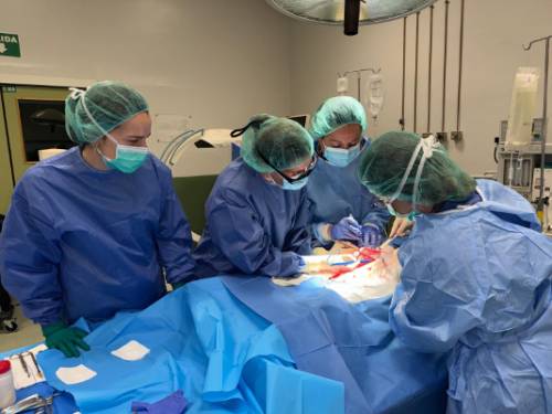 Prácticas con modelos animales en el Hospital Veterinario de la ULE