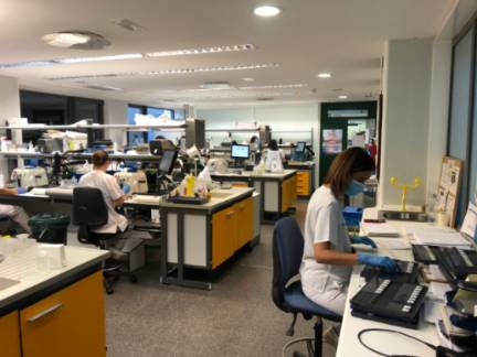 Puestos de microtomía y cotejo en laboratorio