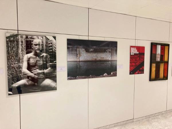 Imágenes de la muestra