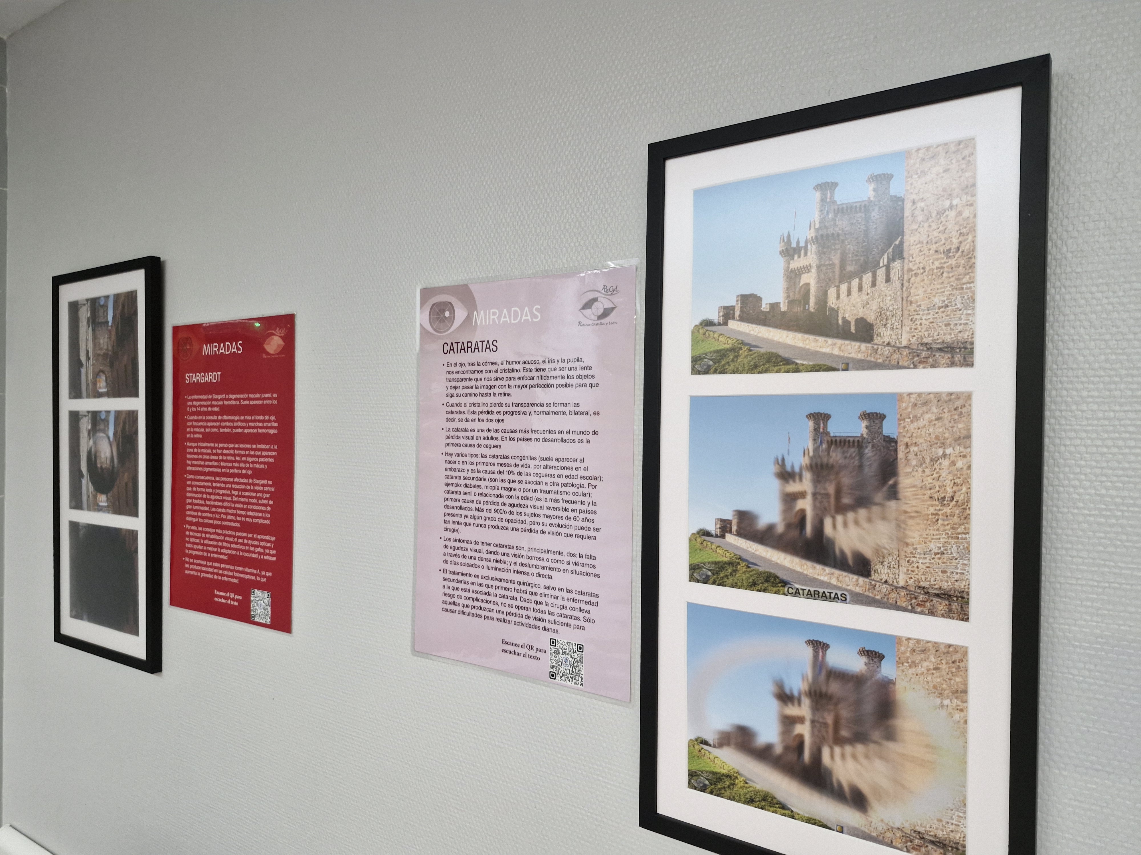 Algunos de los cuadros de la exposición 'Miradas' en el Servicio de Oftalmología del Hospital El Bierzo (1)
