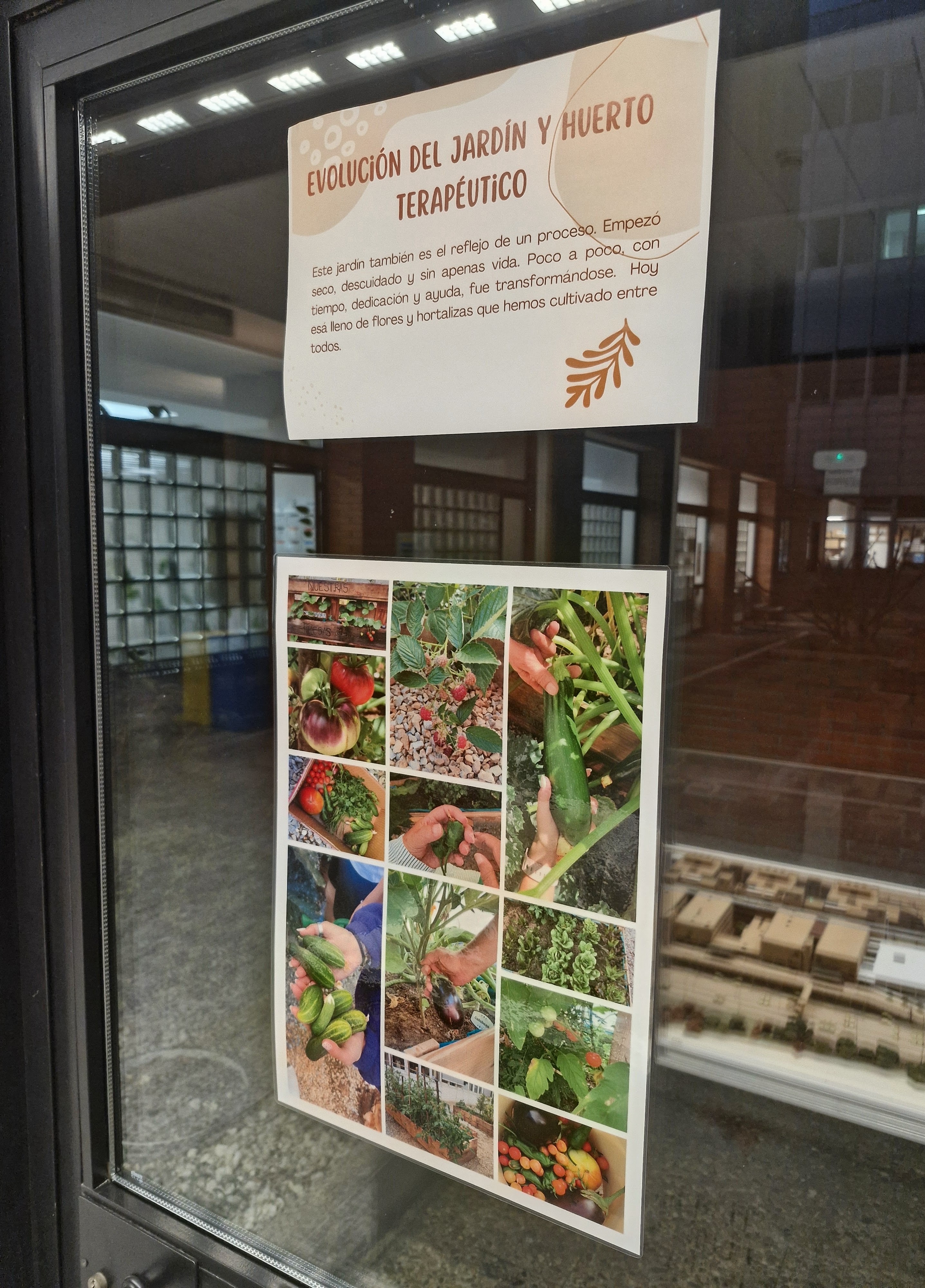 Uno de los collages de la evolución del jardín de Psiquiatría de la Gasbi