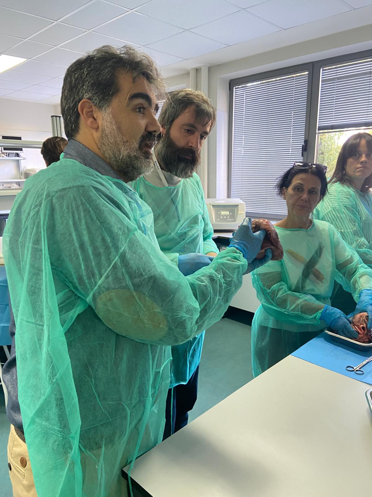 IX Curso de Estimulación Cardiaca (1)