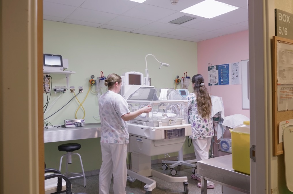 Neonatos 'Mami Tour'