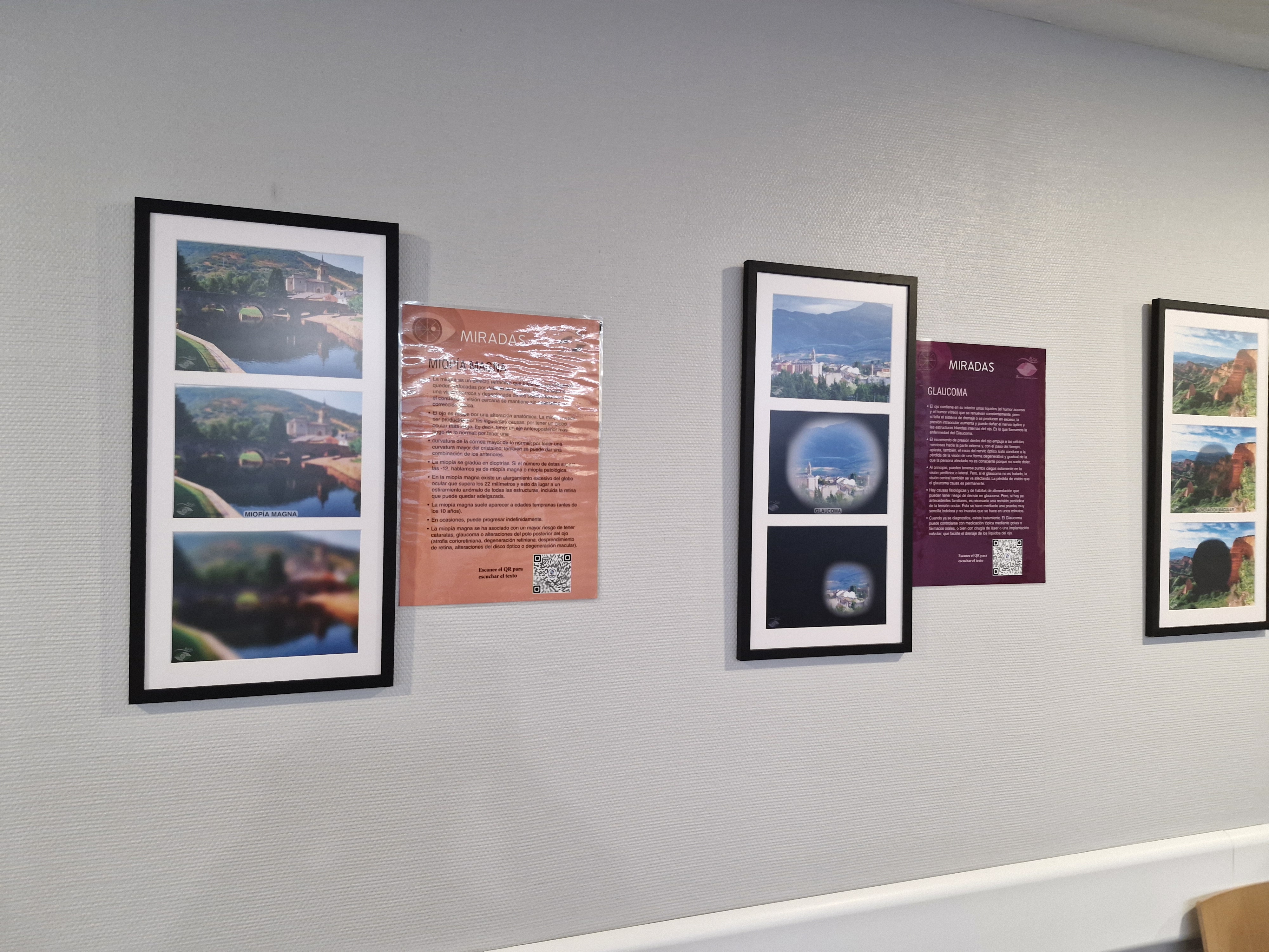 Algunos de los cuadros de la exposición 'Miradas' en el Servicio de Oftalmología del Hospital El Bierzo (2)