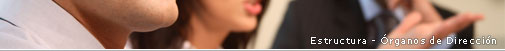 Órganos de dirección