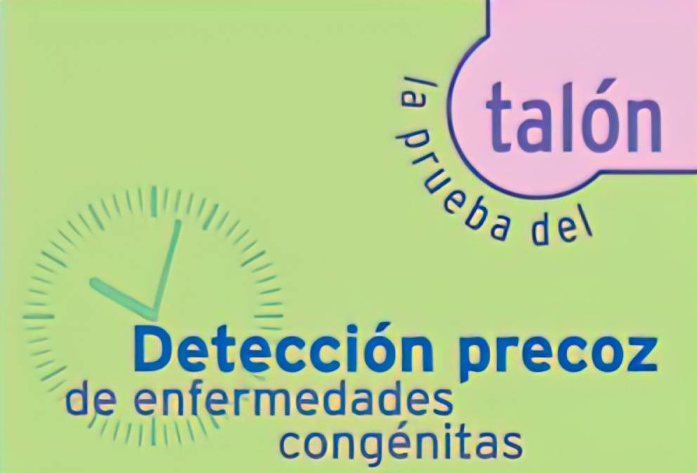 talon-art-scale-4_00x0