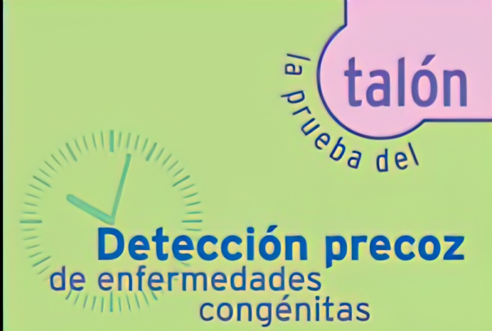 talon-art-scale-4_00x0