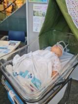 WhatsApp Image 2026-05-08 at 11.22.34 (3)