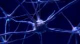 Parkinson