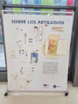 WhatsApp Image 2026-03-06 at 08.49.53 (1)