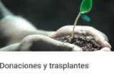 Trasplantes