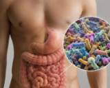 Microbiota