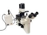 microscopio 2