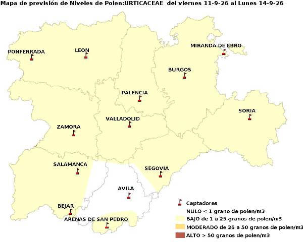 2026_9_11_Urticaceas