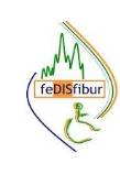 Fedisfibur