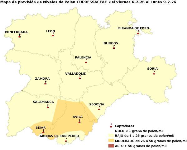 2026_2_6_Cupresaceas