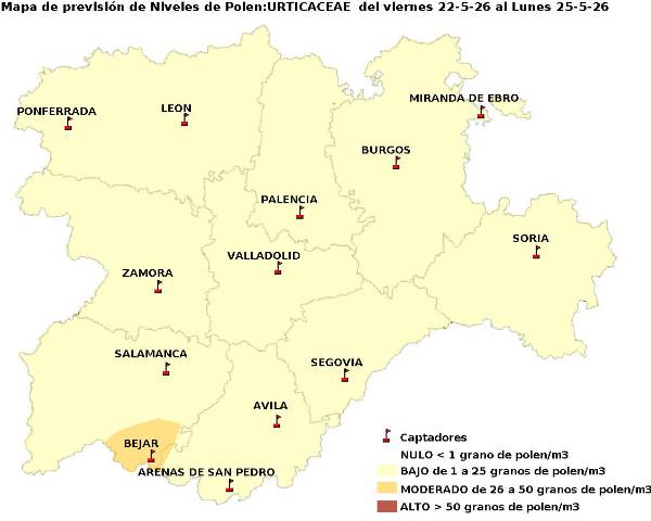 2026_5_22_Urticaceas