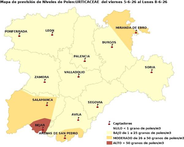 2026_6_5_Urticaceas