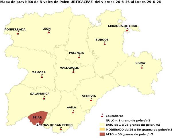 2026_6_26_Urticaceas
