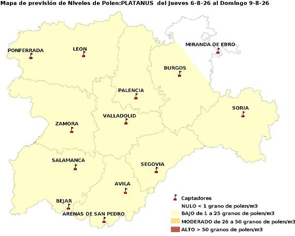 2026_8_6_Platanus