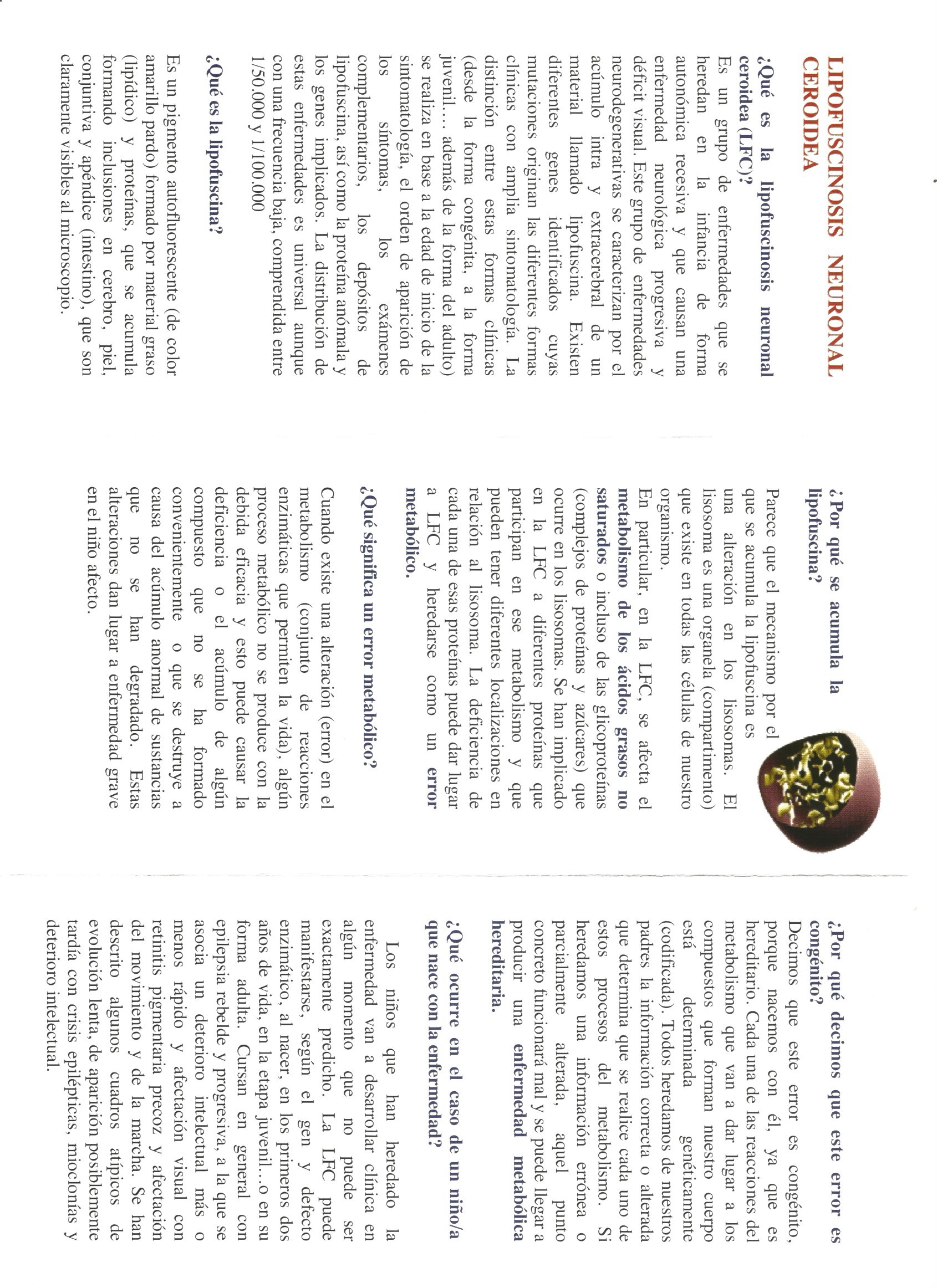 TRIPTICO AEFAL 2
