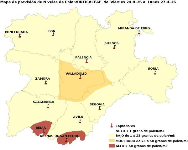 2026_4_24_Urticaceas