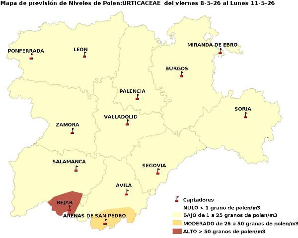 2026_5_8_Urticaceas