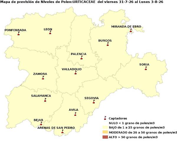 2026_7_31_Urticaceas