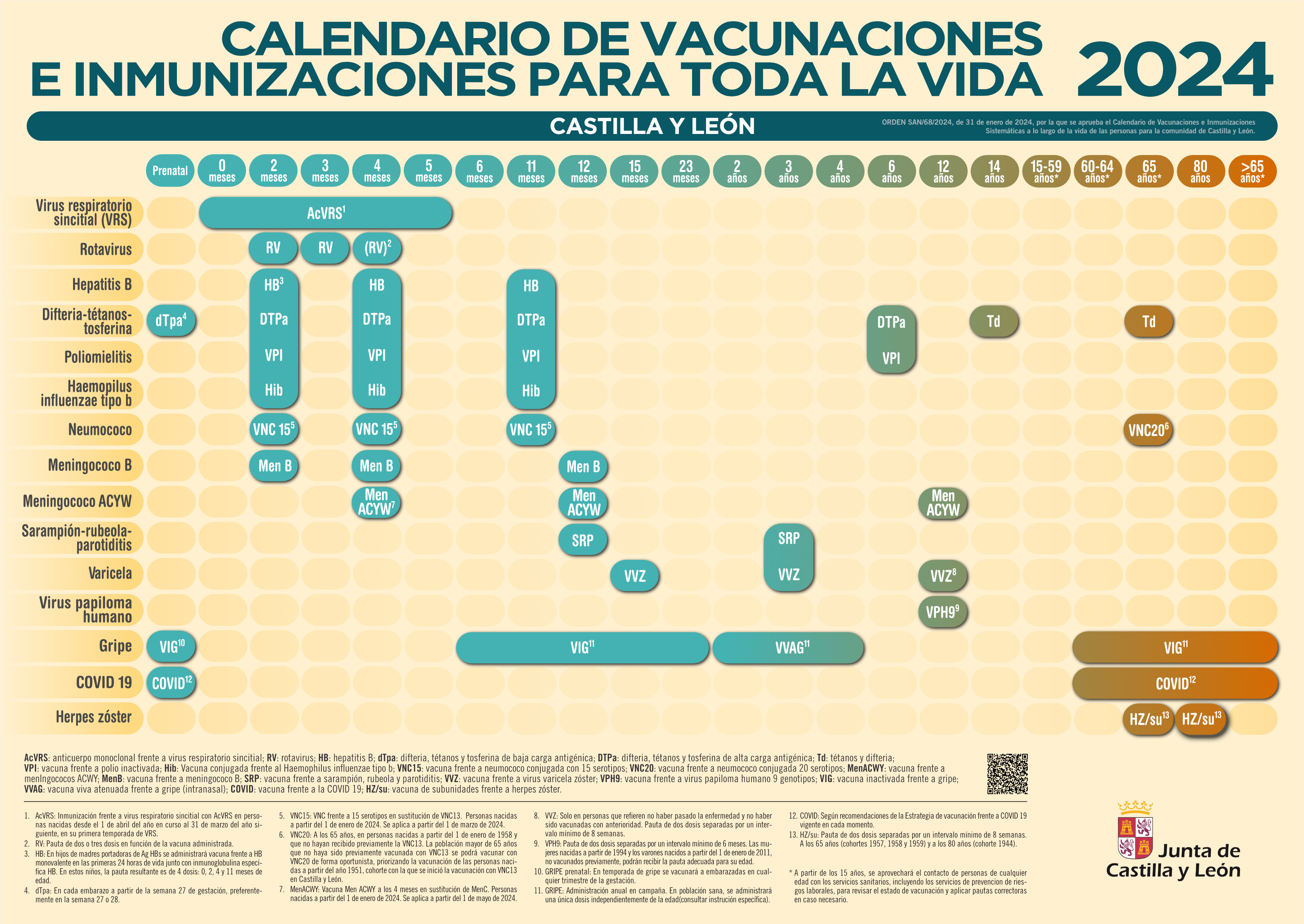 calendario vacunal 2024 (A4)correcto