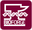 BIOFORGE (Group for advanced materials and nanobiotechnology)