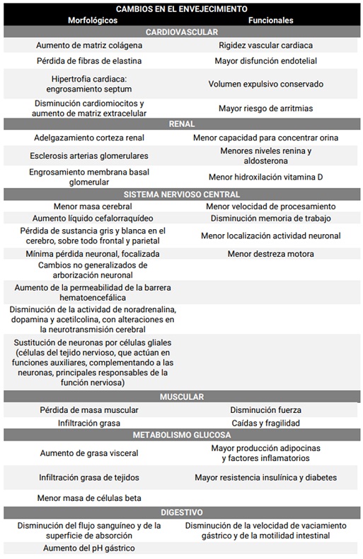 Cambios en el envejecimiento