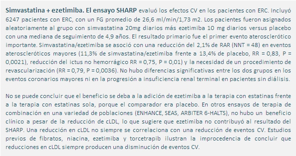 recuadro ensayo Sharp