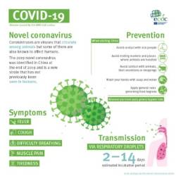 covid-19