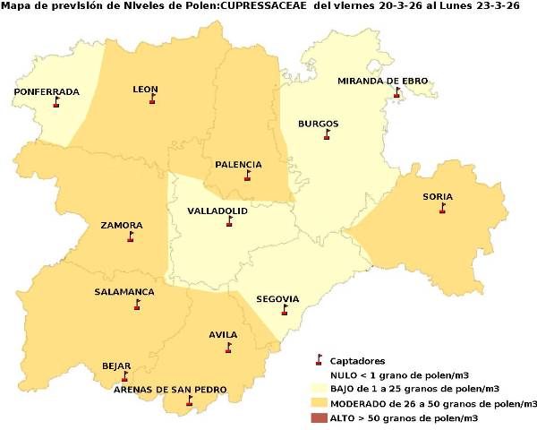 2026_3_20_Cupresaceas