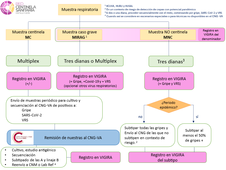 VIGIRALAB