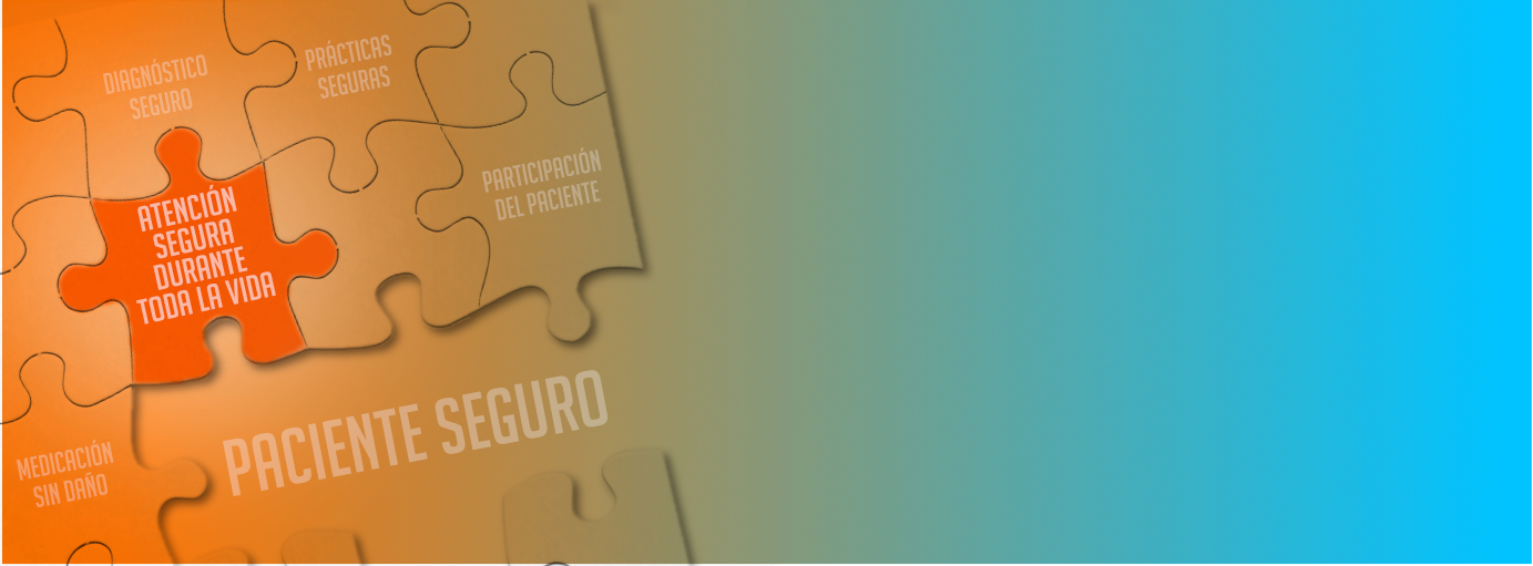 banner paciente seguro 2026