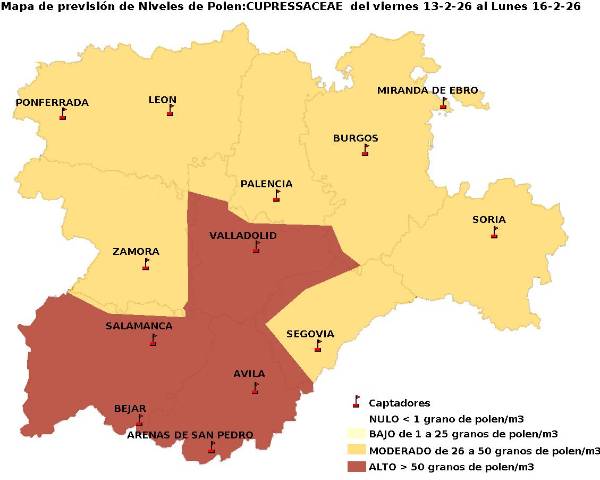 2026_2_13_Cupresaceas