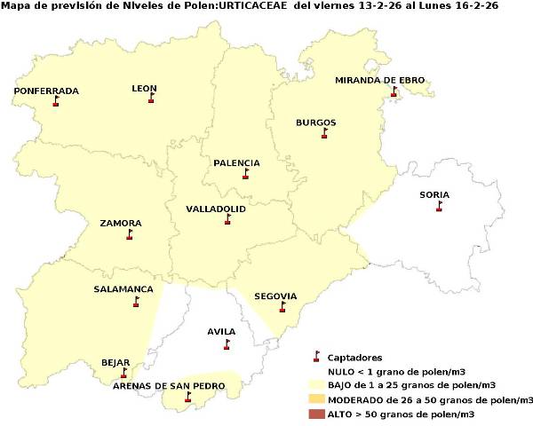 2026_2_13_Urticaceas