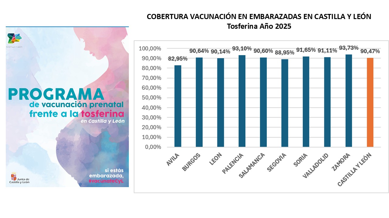 Diapositiva3