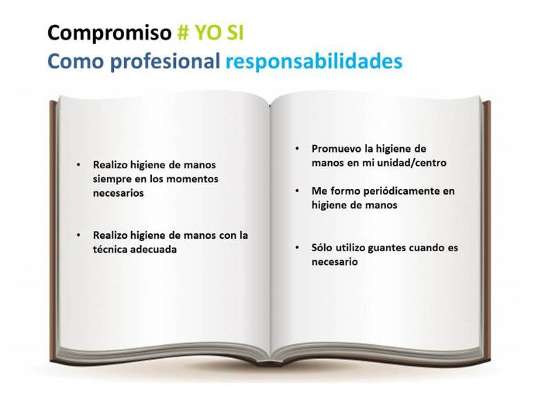 responsabilidades profesional