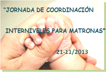 Jornada de coordinación interniveles para matronas