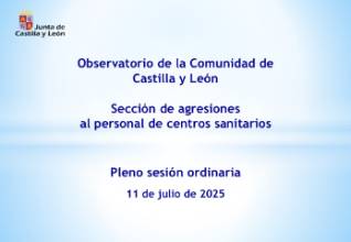 250711 Registro agresiones 2024
