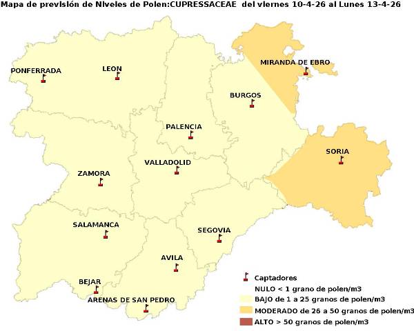 2026_4_10_Cupresaceas