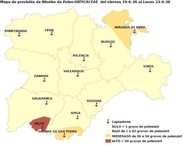 2026_6_19_Urticaceas