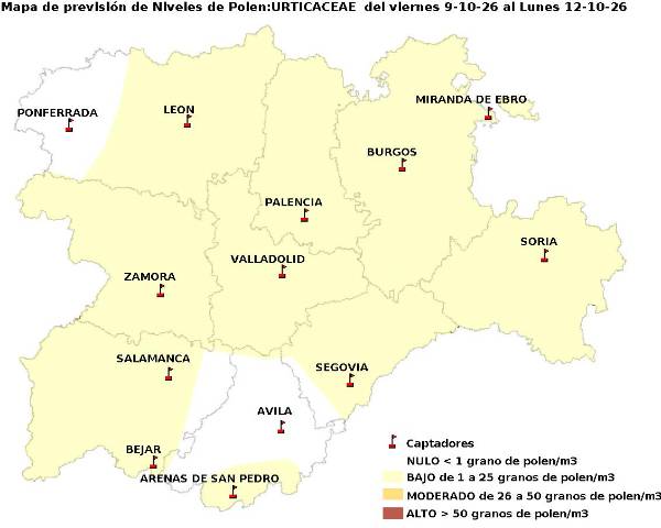 2026_10_9_Urticaceas